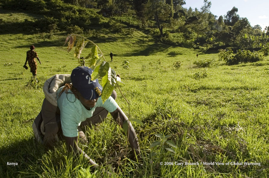 Green Belt Movement women plant trees and work in nursery of seedlings near Katarina, Kenya