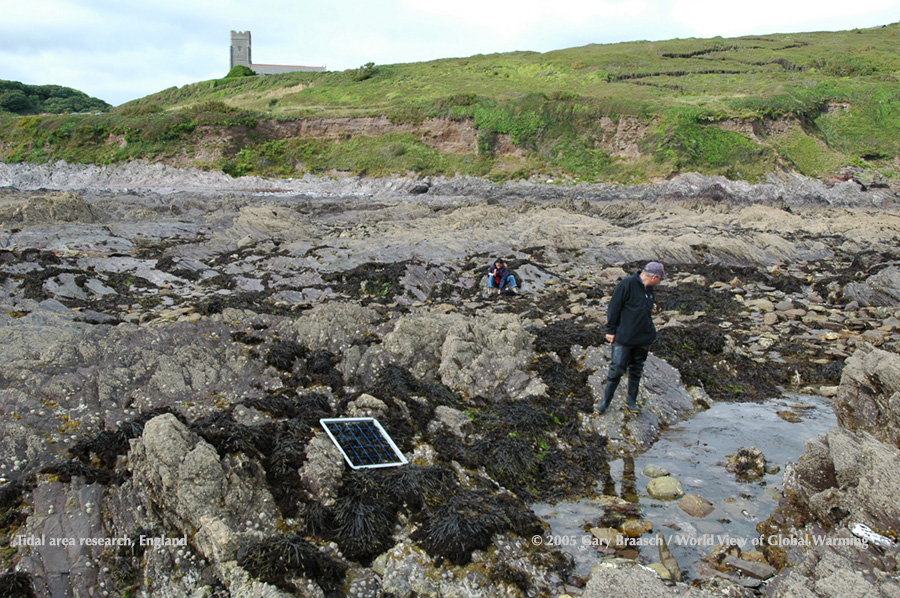 Staff of Marine Biological Lab in Plymouth, UK, choose next plot location to guage movement of tidepool creatures in changing climate.