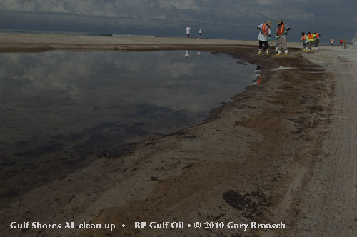Gulf Oil Spill Photos